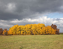 Осень в Стрелецкой степи (А.А. Власов)