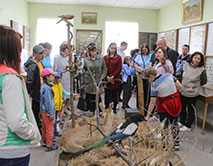 Музею Природы ЦЧЗ 55 лет