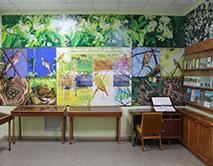 Музею Природы ЦЧЗ 55 лет