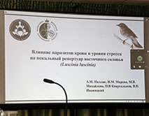 А.М. Паллак (он-лайн)