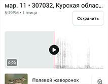 Прилетели жаворонки