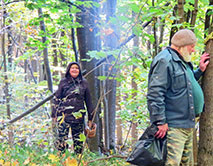 Обследование леса научными сотрудниками