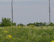 Метеостанция в море разнотравья. 21.05.2025