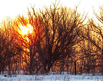 Восход солнца 1.02.2026