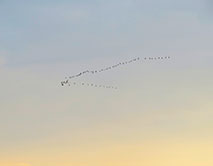 Возвращение с севера. 28.03.2025