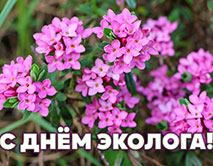 С Днем эколога!