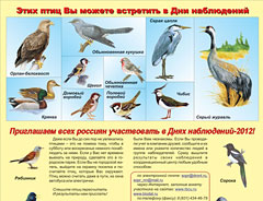 Буклет Союза охраны птиц России - 2012